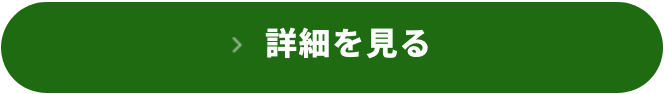 詳細を見る