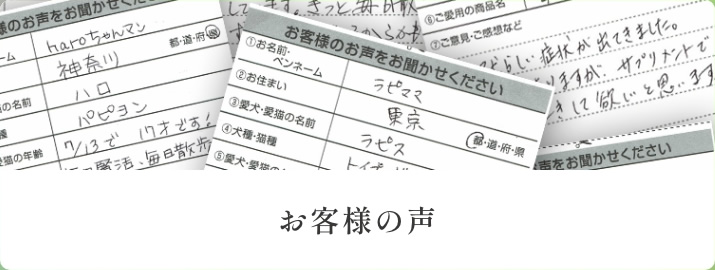 お客様の声