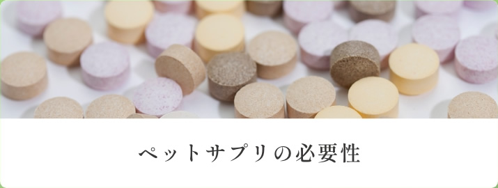 ペットサプリの必要性