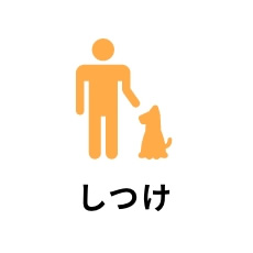 しつけ