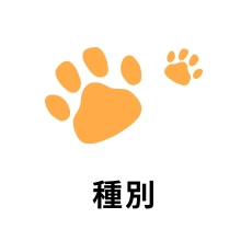 種別
