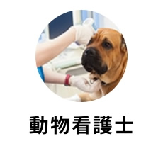 動物看護士