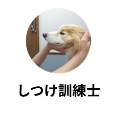 家庭犬訓練士