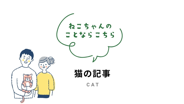 猫の記事