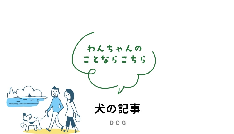 犬の記事
