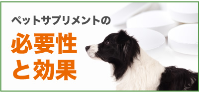 ペットサプリメントの必要性と効果