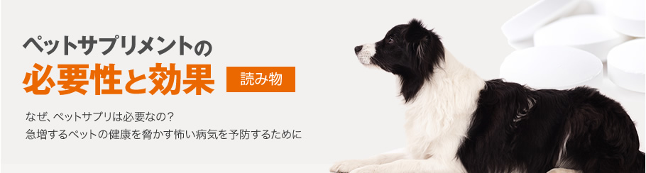 ペットサプリメントの必要性と効果について