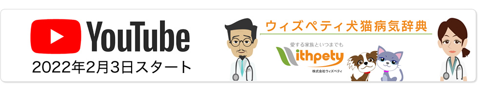Youtube 病気辞典