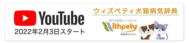 Youtube 病気辞典