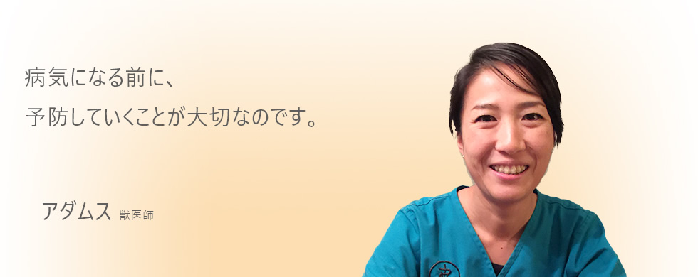 病気になる前に、予防していくことが大切なのです。