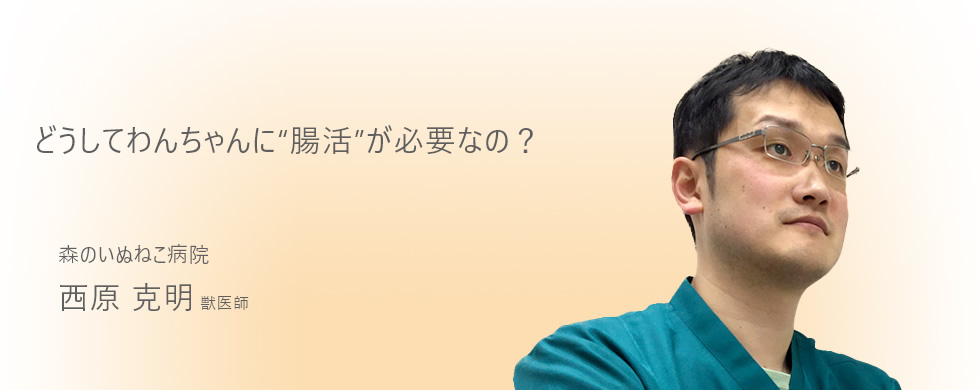 どうしてわんちゃんに 