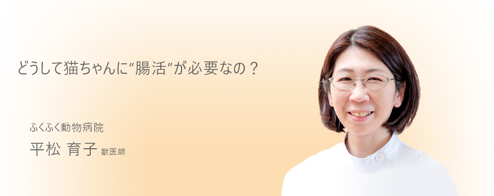どうして猫ちゃんに 