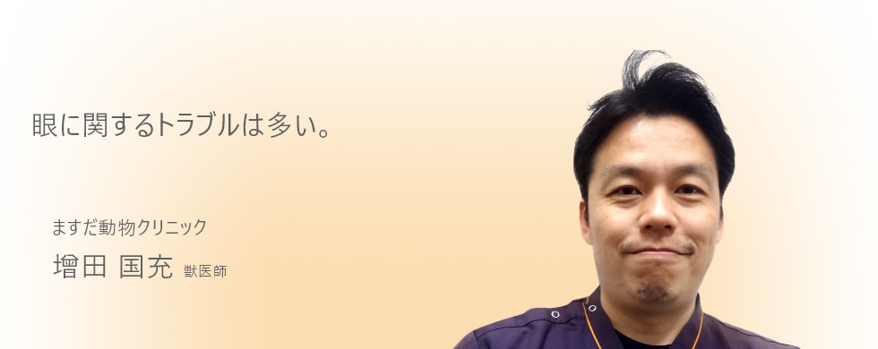 眼に関するトラブルは多い。