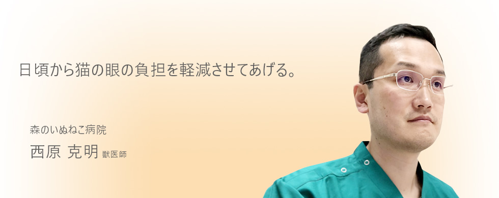 日頃から猫の眼の負担を軽減させてあげる。