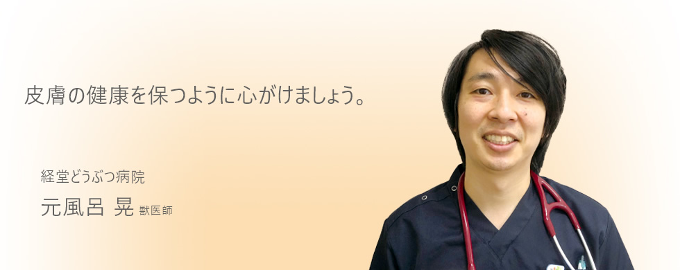 皮膚の健康を保つように心がけましょう。
