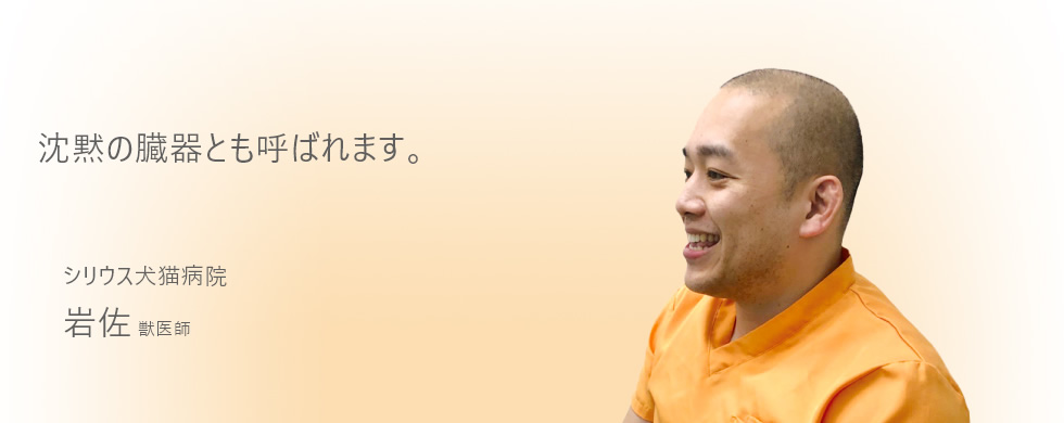 沈黙の臓器とも呼ばれます。