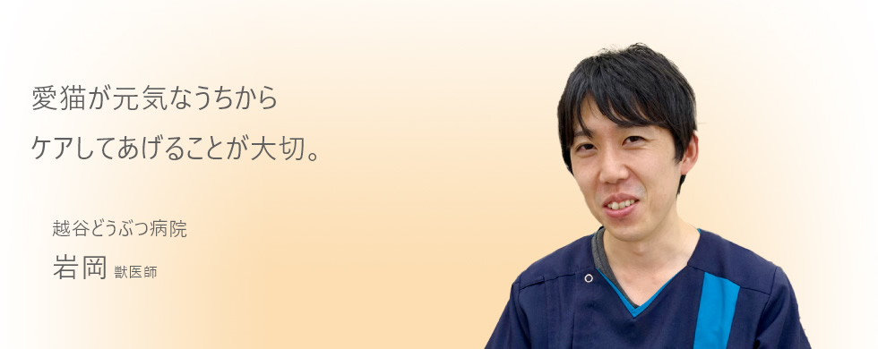 愛猫が元気なうちからケアしてあげることが大切。