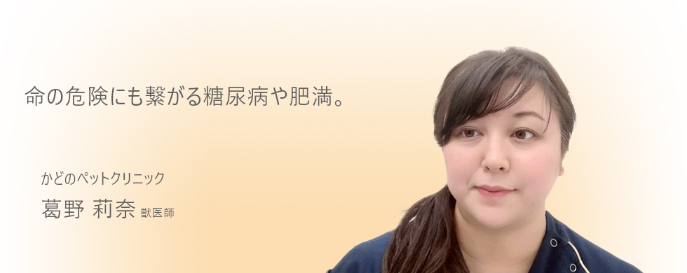 命の危険にも繋がる糖尿病や肥満。