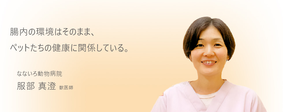 腸内の環境はそのまま、ペットたちの健康に関係している。