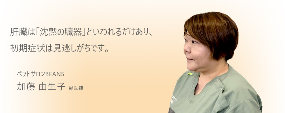 肝臓は「沈黙の臓器」と言われるだけあり、初期症状は見逃しがちです。