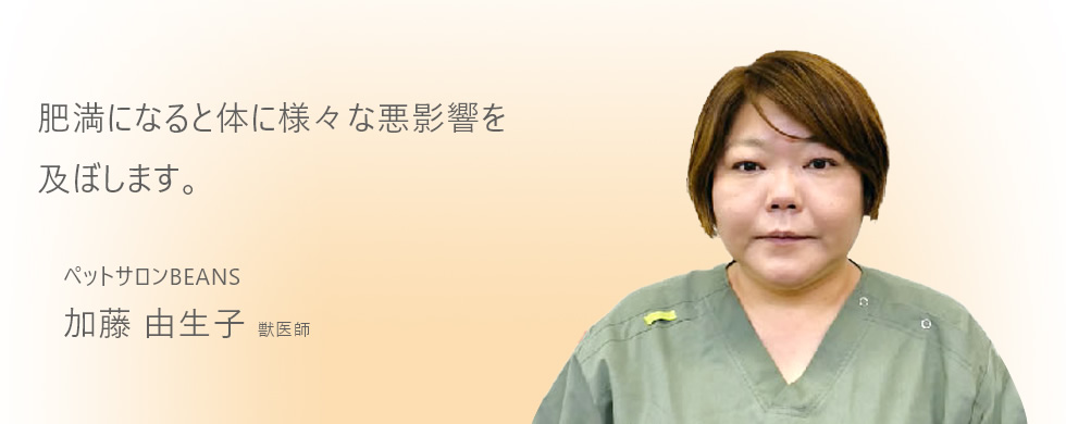 肥満になると体に様々な悪影響を及ぼします。