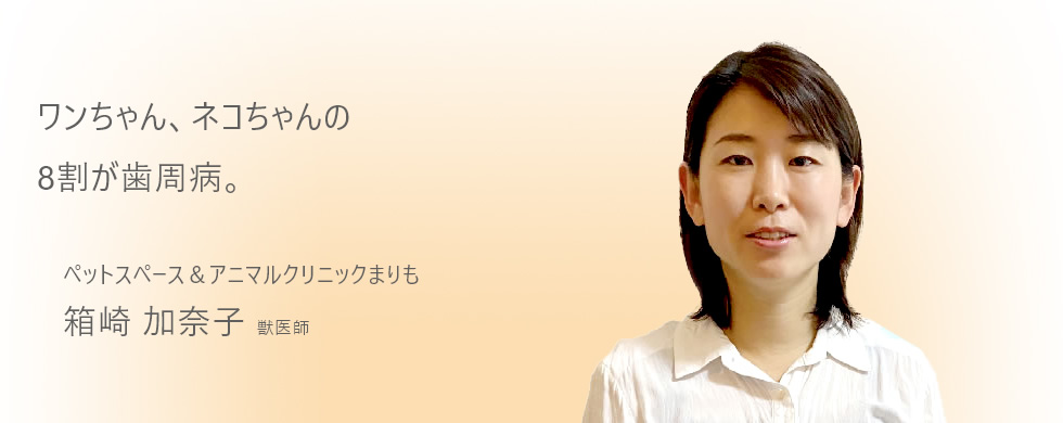 ワンちゃん、ネコちゃんの８割が歯周病。