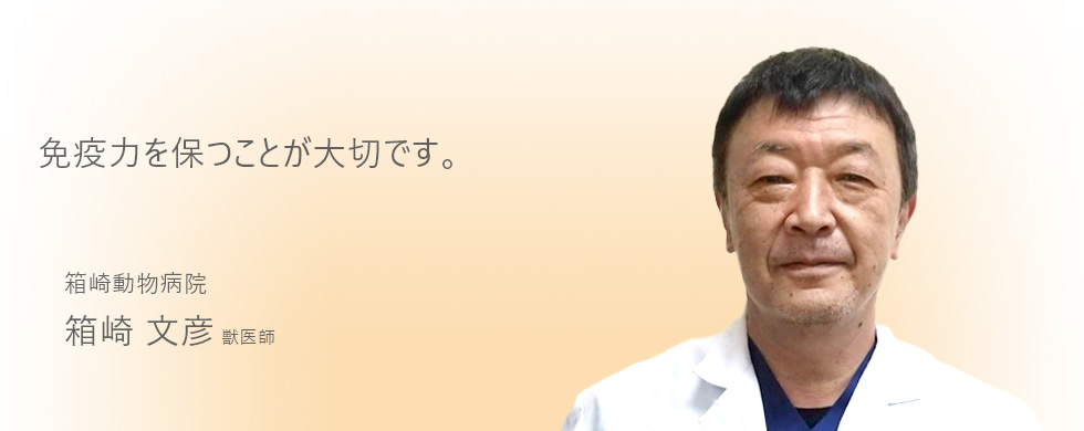 免疫力を保つことが大切です。