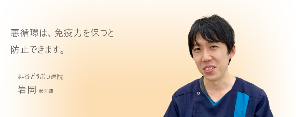 悪循環は、免疫力を保つと防止できます。
