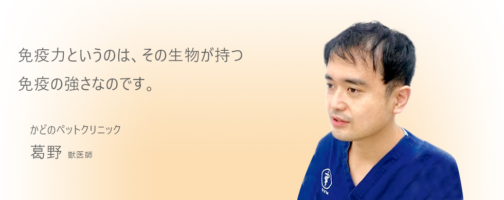 免疫力というのは、その生物が持つ免疫の強さなのです。