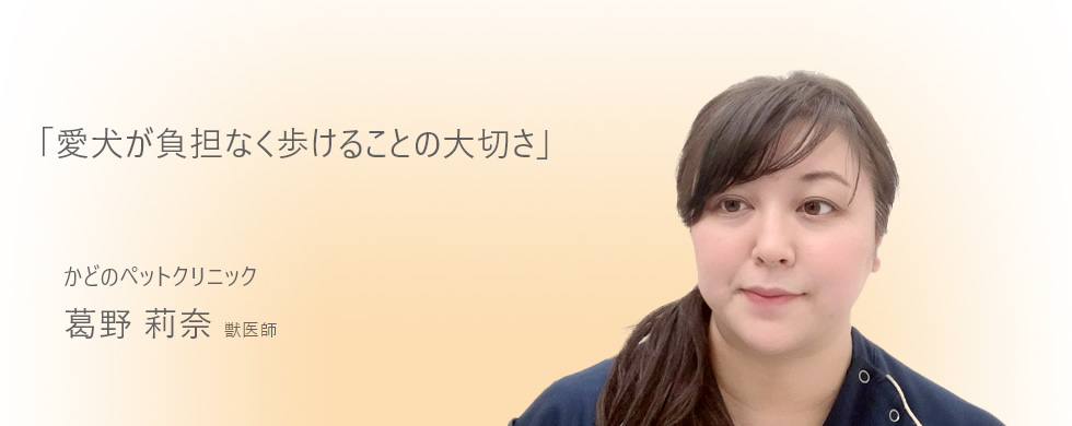 愛犬が負担なく歩けることの大切さ