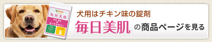 他のサプリページへ
