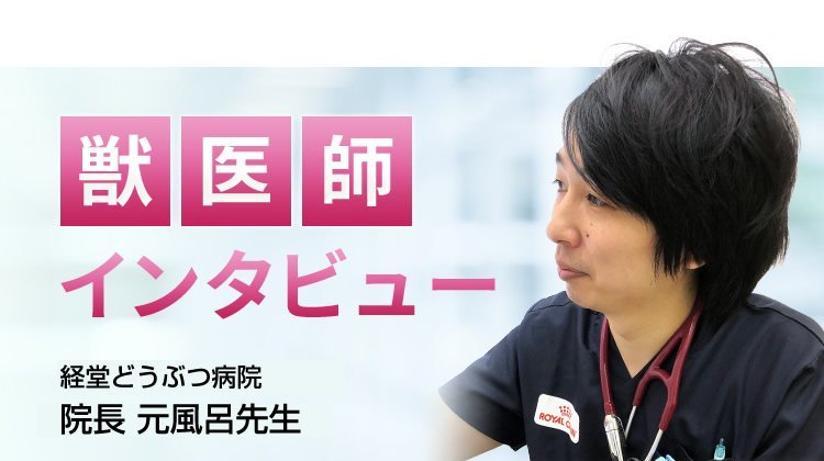 【獣医師推奨】インタビュー記事