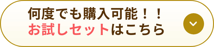 何度でも購入可能