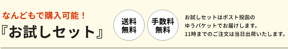 なんどでも購入可能　お試しセット