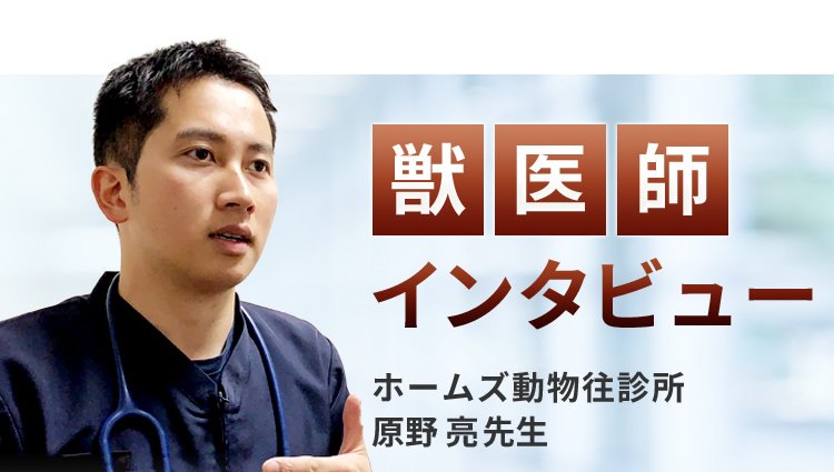 【獣医師推奨】インタビュー記事