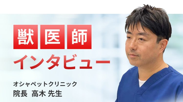 【獣医師推奨】インタビュー記事