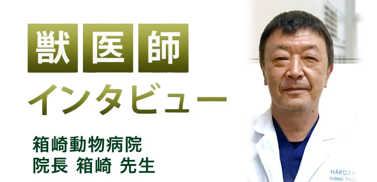 【獣医師推奨】インタビュー記事