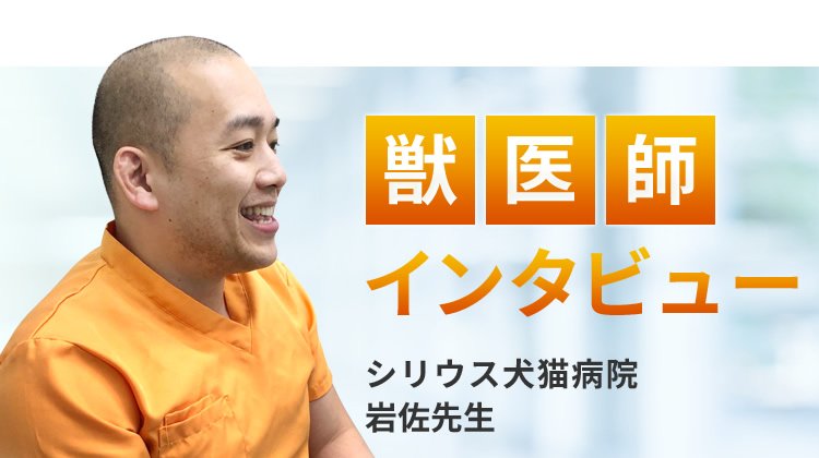 【獣医師推奨】インタビュー記事