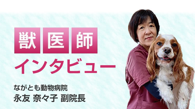 【獣医師推奨】インタビュー記事