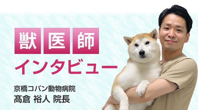 【獣医師推奨】インタビュー記事