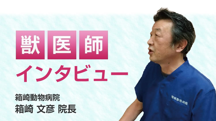 【獣医師推奨】インタビュー記事