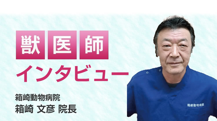 【獣医師推奨】インタビュー記事