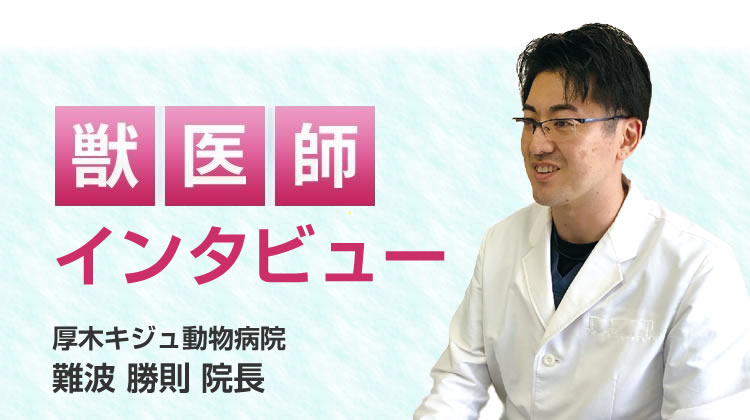 【獣医師推奨】インタビュー記事