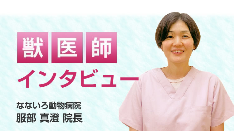【獣医師推奨】インタビュー記事