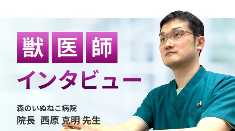 【獣医師推奨】インタビュー記事