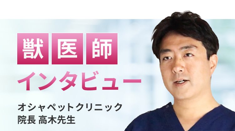 【獣医師推奨】インタビュー記事
