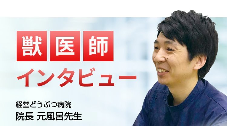 【獣医師推奨】インタビュー記事