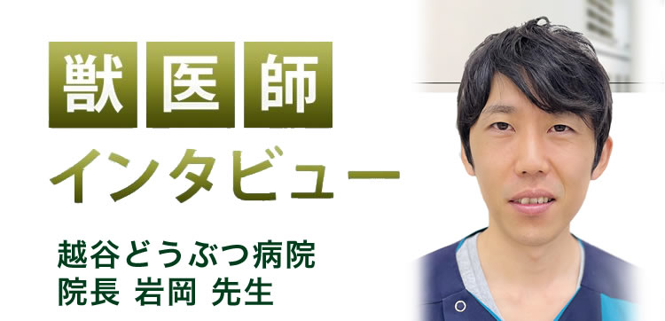 【獣医師推奨】インタビュー記事