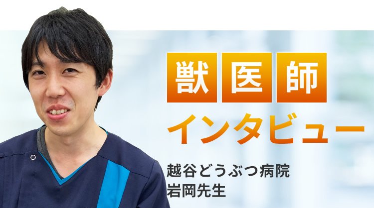 【獣医師推奨】インタビュー記事