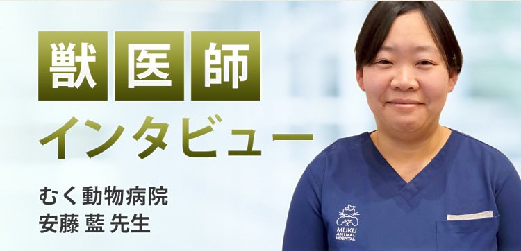 【獣医師推奨】インタビュー記事